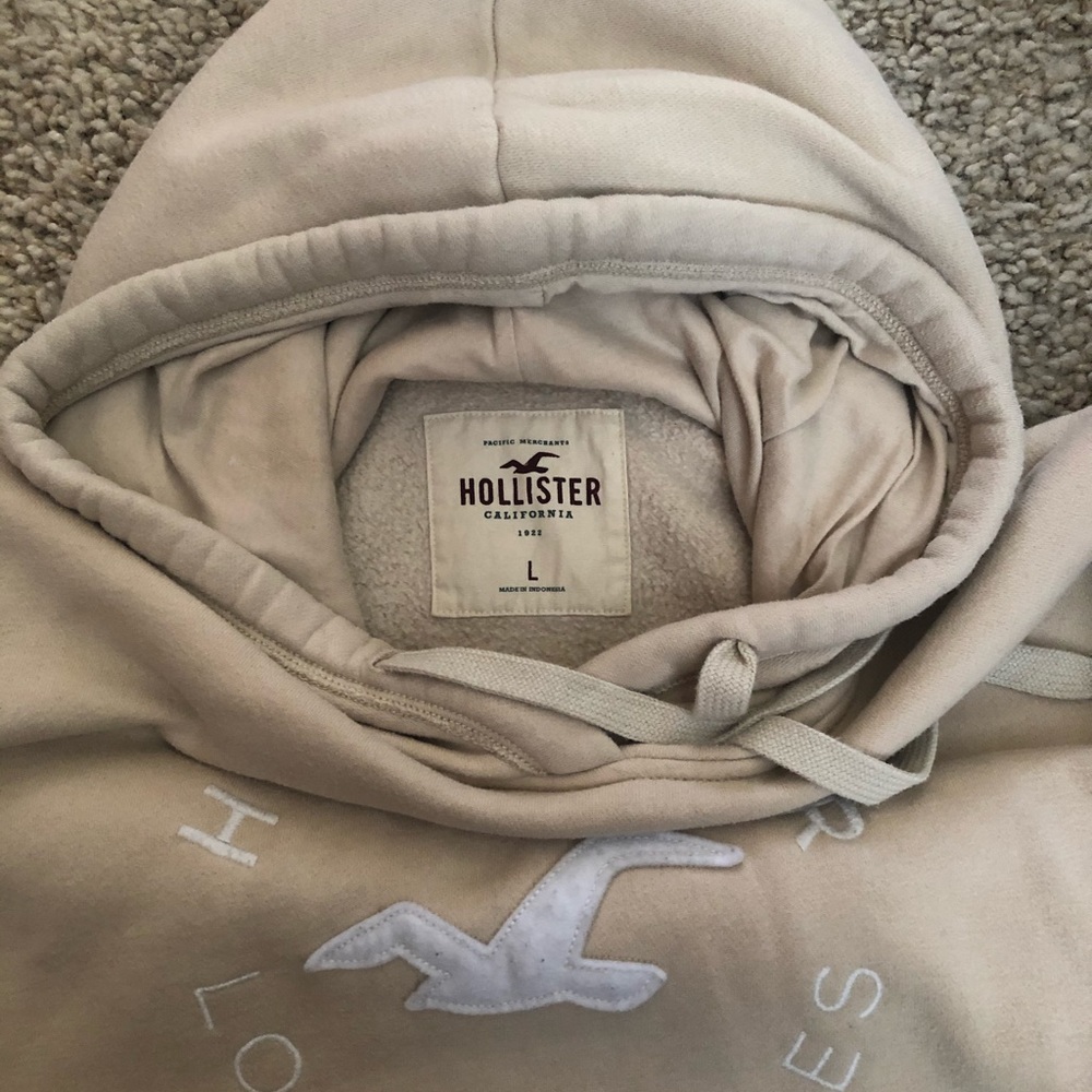 Women Hollister Hoodie